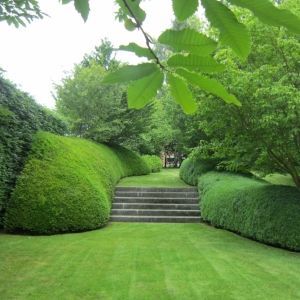 Landschapsarchitect in sneek