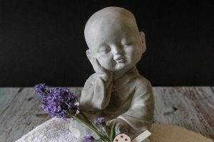 Bedrijven in Sneek Bedrijven in Sneek